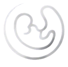 atencion-integral-en-ginecologia-en-la-paz-mexico