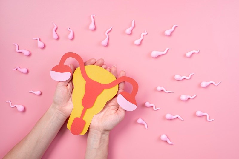 Preservación de la fertilidad